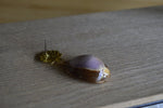 Load image into Gallery viewer, Tiger Cowrie Clam Shell Earrings - We Love Brass
