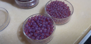 Bead Haul 2022