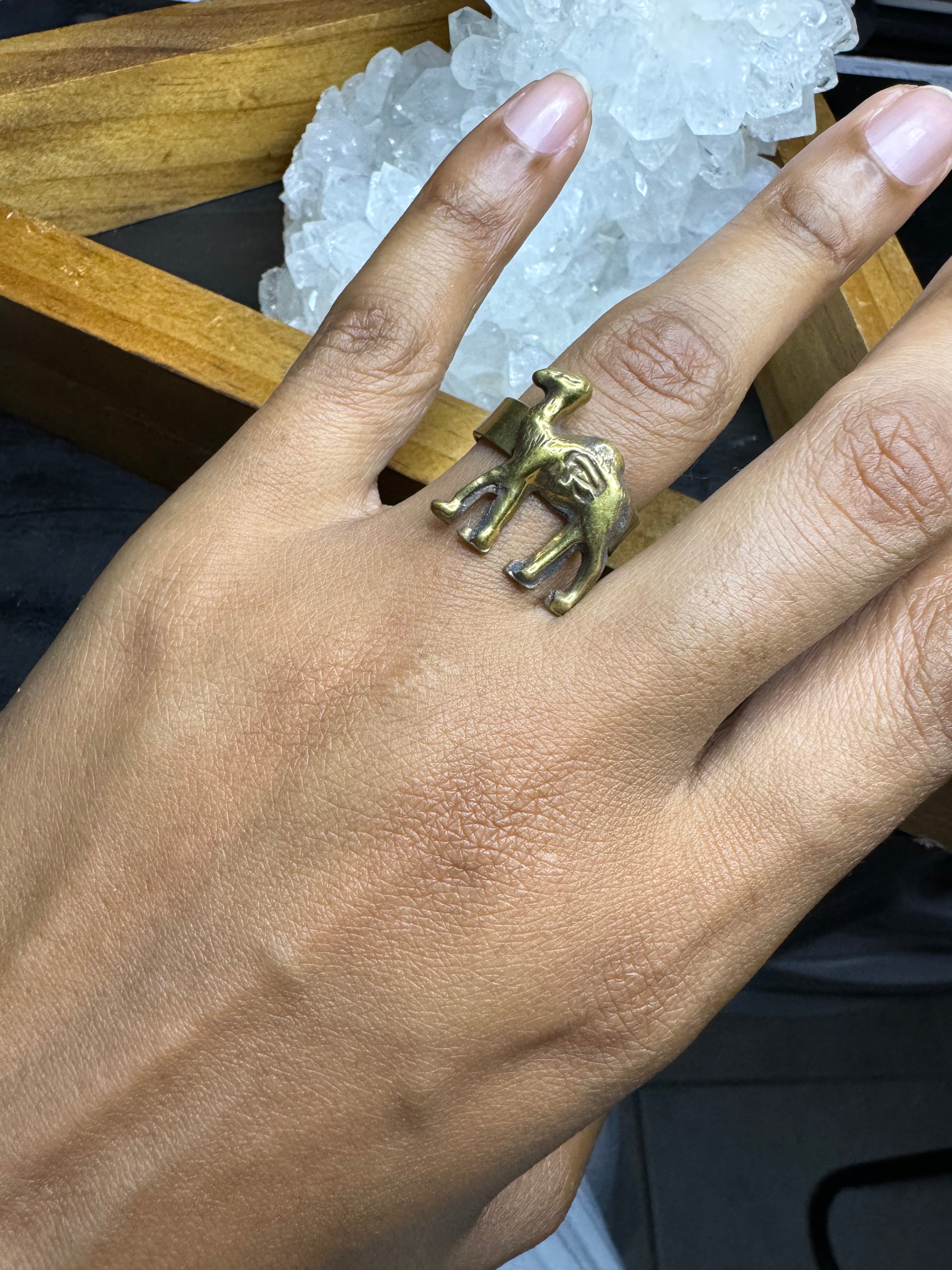Eye of Horus Camel Ring