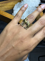Cargar imagen en el visor de la galería, Eye of Horus Camel Ring

