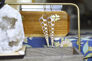 Shell Earrings - We Love Brass