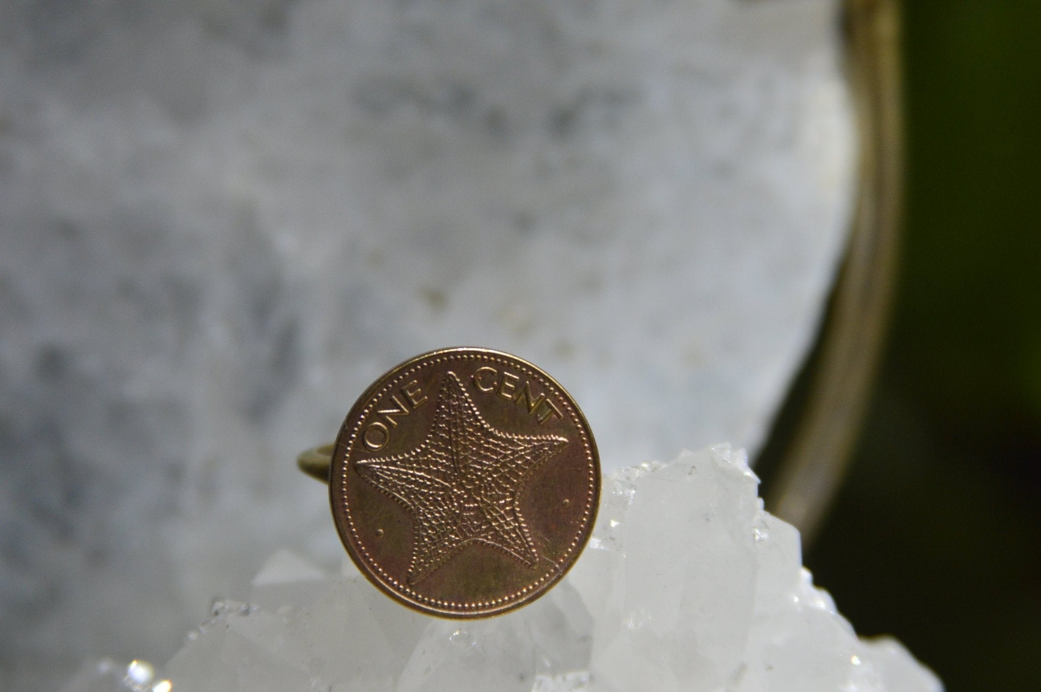 1974 Starfish Coin Ring - We Love Brass