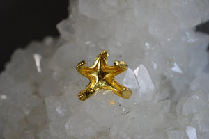 3D Starfish Midi Ring - We Love Brass