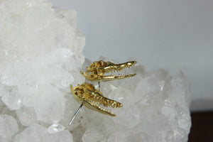 After While Crocodile Brass Stud Earrings - We Love Brass