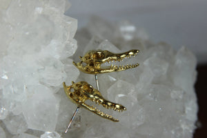 After While Crocodile Brass Stud Earrings - We Love Brass
