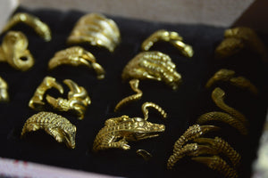 Animalia - Reptile Ring Handmade Jewelry Box - We Love Brass