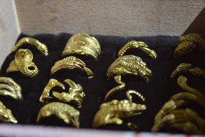 Animalia - Reptile Ring Handmade Jewelry Box - We Love Brass