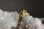 Load image into Gallery viewer, Anubis Brass Ring - We Love Brass
