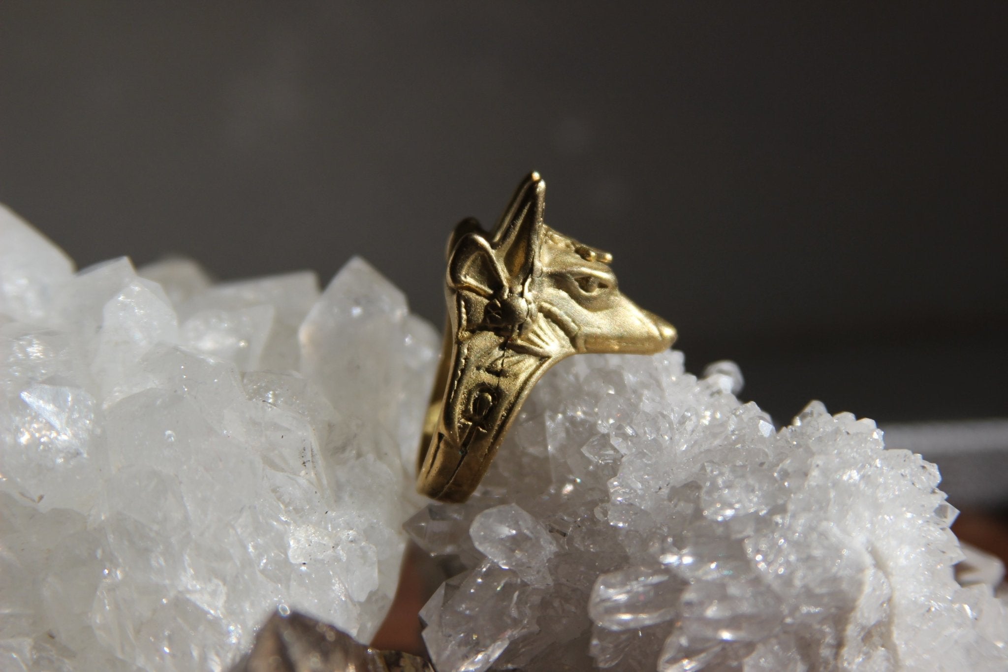 Anubis Brass Ring Jewelry Set - We Love Brass