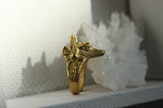 Cargar imagen en el visor de la galería, Anubis Hieroglyph Brass Ring Jewelry Set - We Love Brass
