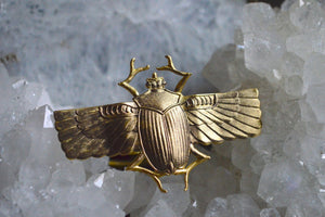 Ascend - Brass Scarab Ring - We Love Brass
