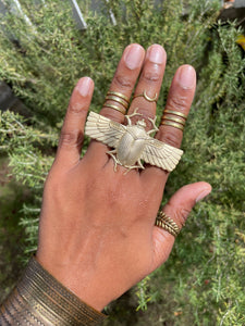 Ascend - Brass Scarab Ring - We Love Brass