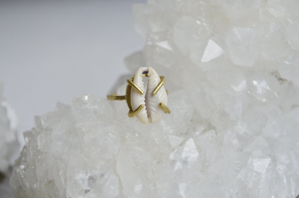 Brass Cowrie Shell Ring - We Love Brass
