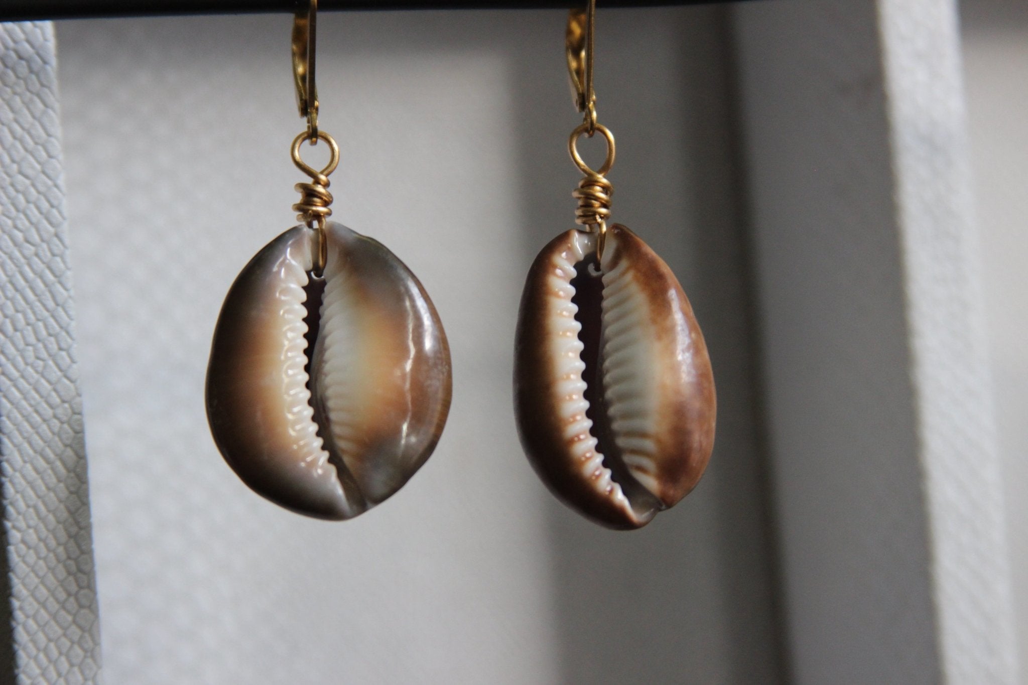 Brown Cowrie Shell Earrings - We Love Brass