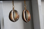 Load image into Gallery viewer, Brown Cowrie Shell Earrings - We Love Brass
