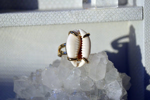 Claws Out Cowrie Shell Ring - We Love Brass
