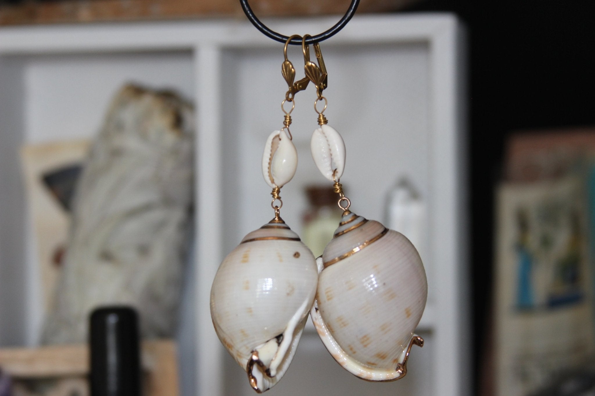 Cowrie Conch Shell Earrings - We Love Brass