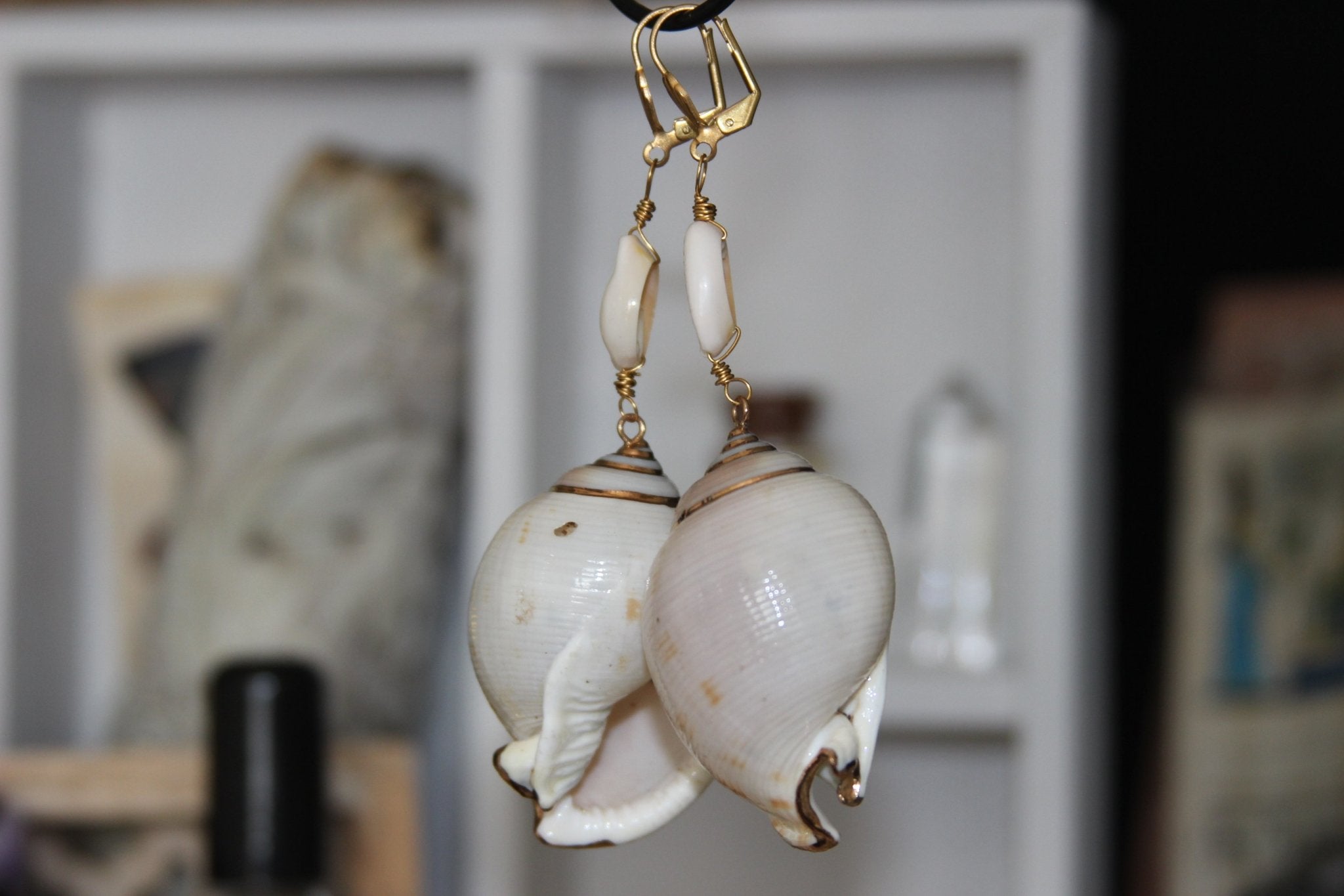 Cowrie Conch Shell Earrings - We Love Brass