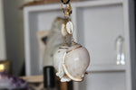 Load image into Gallery viewer, Cowrie Conch Shell Earrings - We Love Brass
