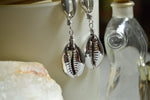 Cargar imagen en el visor de la galería, Cowrie Cowrie Stainless Steel Earrings - We Love Brass
