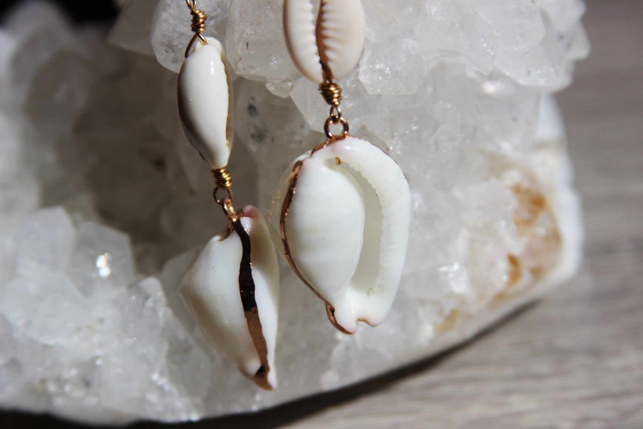 Cowrie pon Cowrie Brass Shell Earrings - We Love Brass
