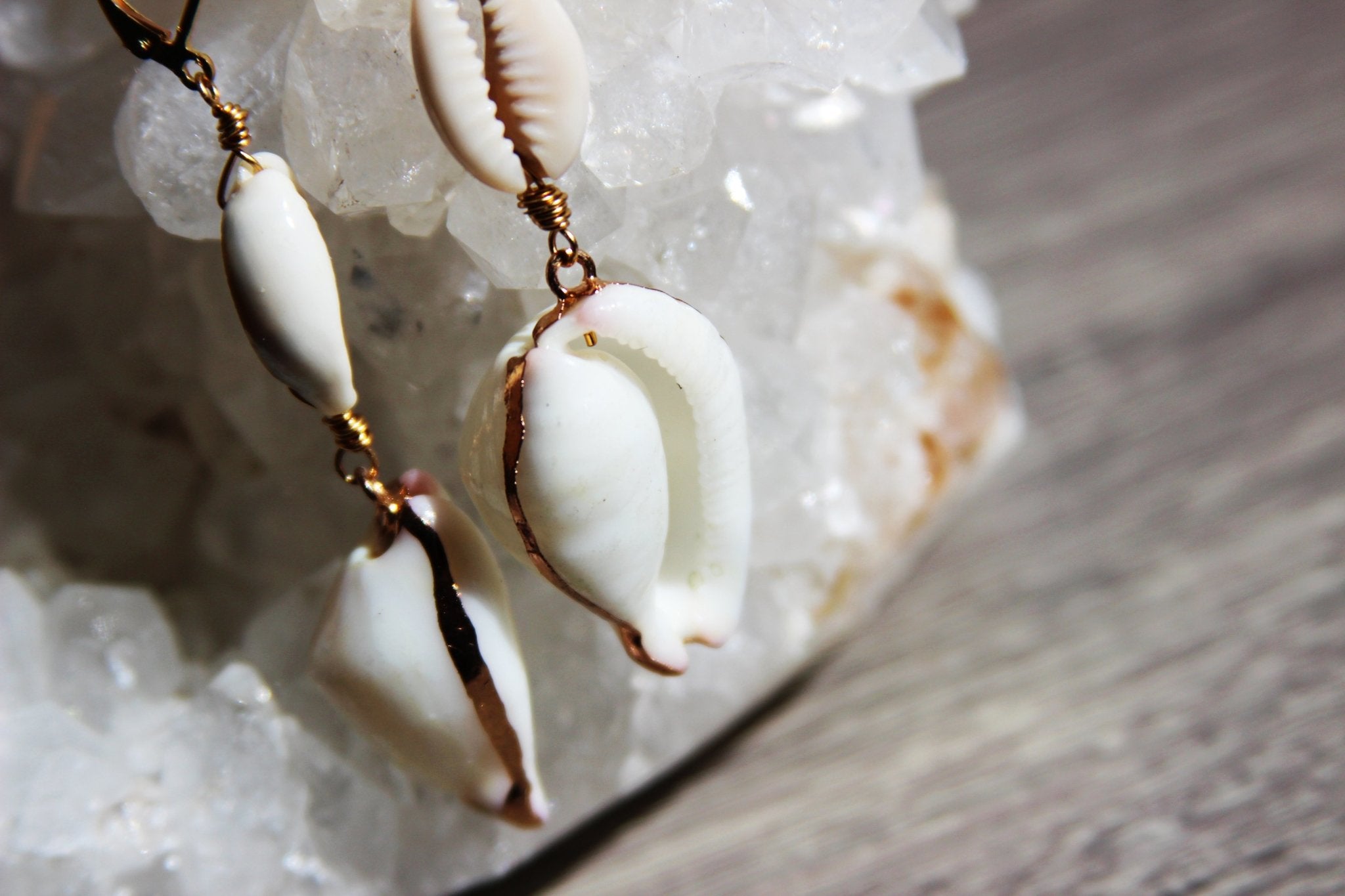 Cowrie pon Cowrie Brass Shell Earrings - We Love Brass
