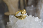 Cargar imagen en el visor de la galería, Double Headed Brass Serpent Ring - We Love Brass
