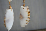 Cargar imagen en el visor de la galería, Double Shadow - Brass Cowrie Shell Earrings - We Love Brass

