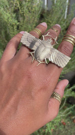 Cargar y reproducir el video en el visor de la galería, Ascend - Brass Scarab Ring

