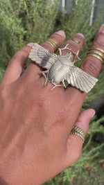 Load and play video in Gallery viewer, Ascend - Brass Scarab Ring
