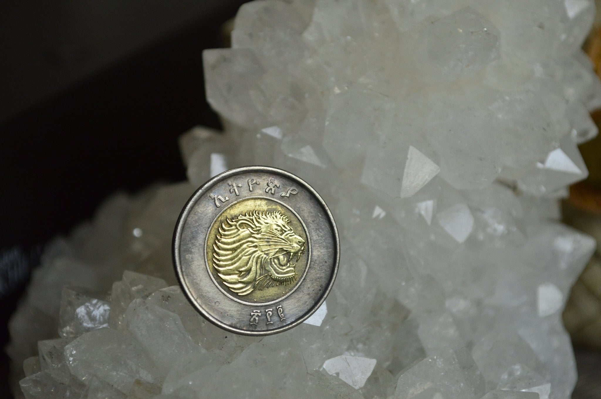 Ethiopian Lion head Coin Ring - We Love Brass