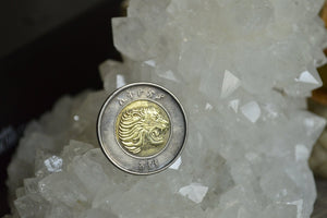 Ethiopian Lion head Coin Ring - We Love Brass
