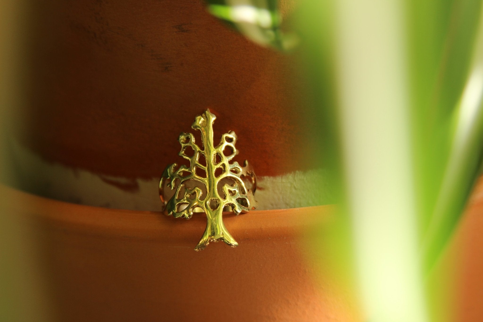 Food For Thought Brass Ring - We Love Brass