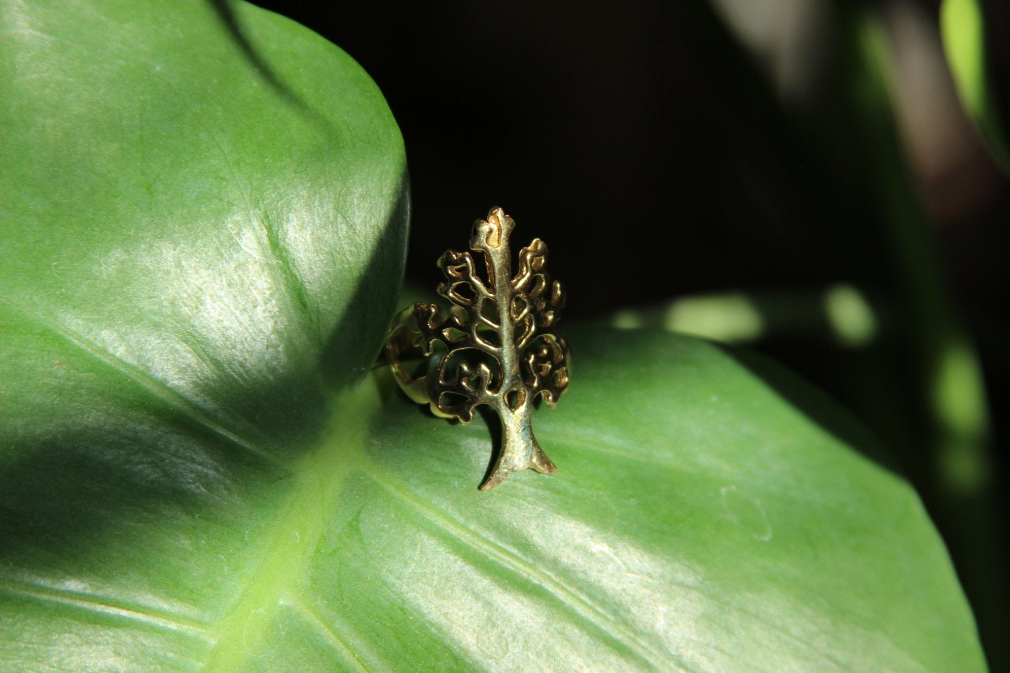 Food For Thought Brass Ring - We Love Brass