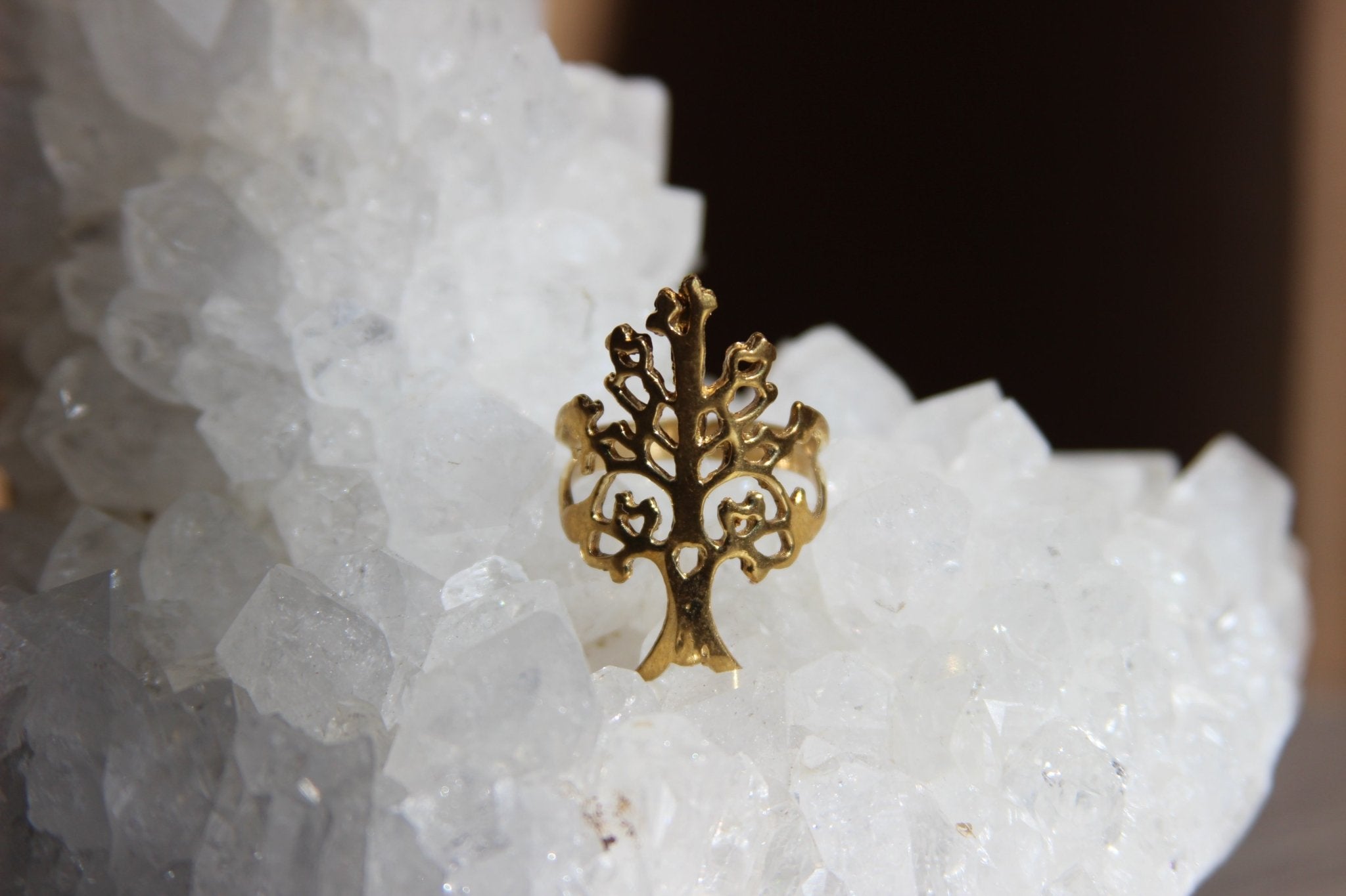 Food For Thought Brass Ring - We Love Brass