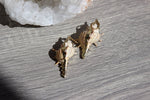 Load image into Gallery viewer, Gold Plated Conch Shell Brass Earrings - We Love Brass
