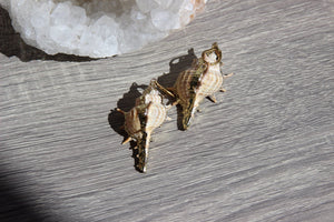 Gold Plated Conch Shell Brass Earrings - We Love Brass