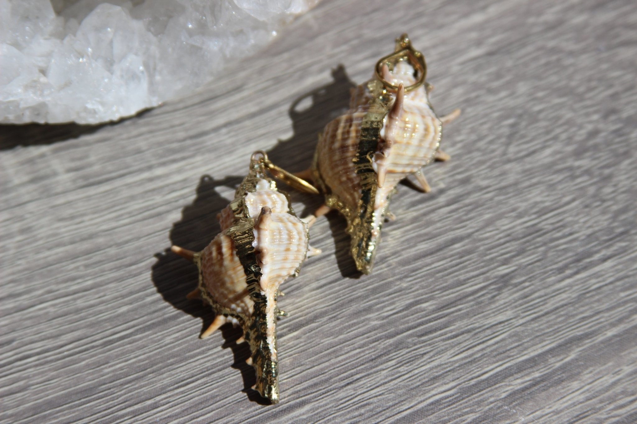 Gold Plated Conch Shell Brass Earrings - We Love Brass