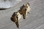 Cargar imagen en el visor de la galería, Gold Plated Conch Shell Brass Earrings - We Love Brass
