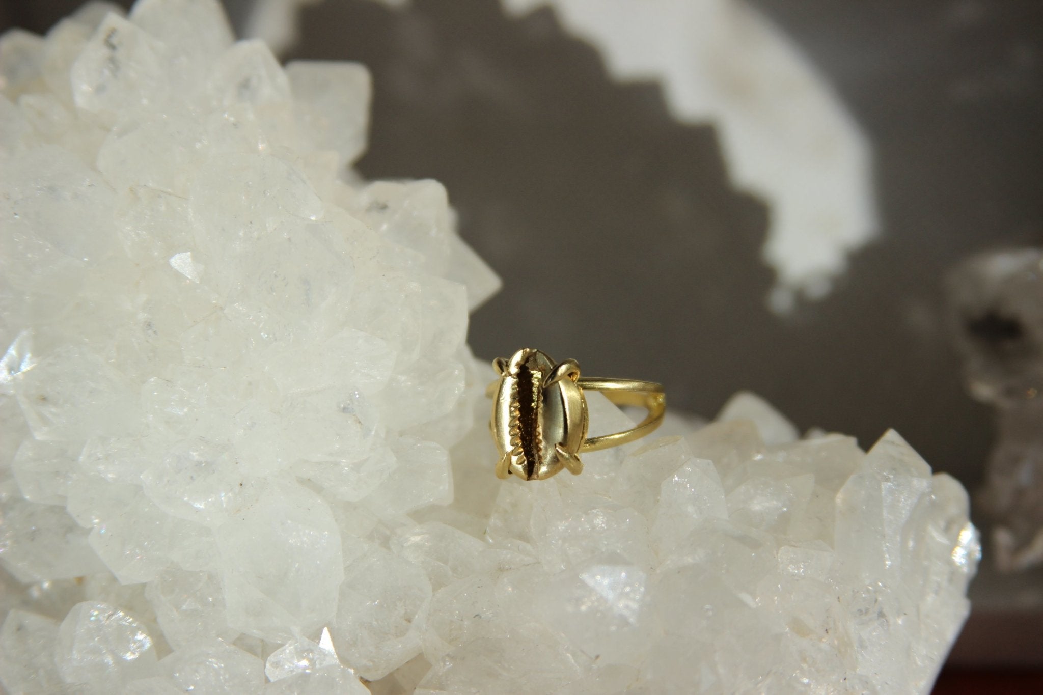Golden Cowrie Brass Ring - We Love Brass