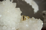 Cargar imagen en el visor de la galería, Golden Cowrie Brass Ring - We Love Brass
