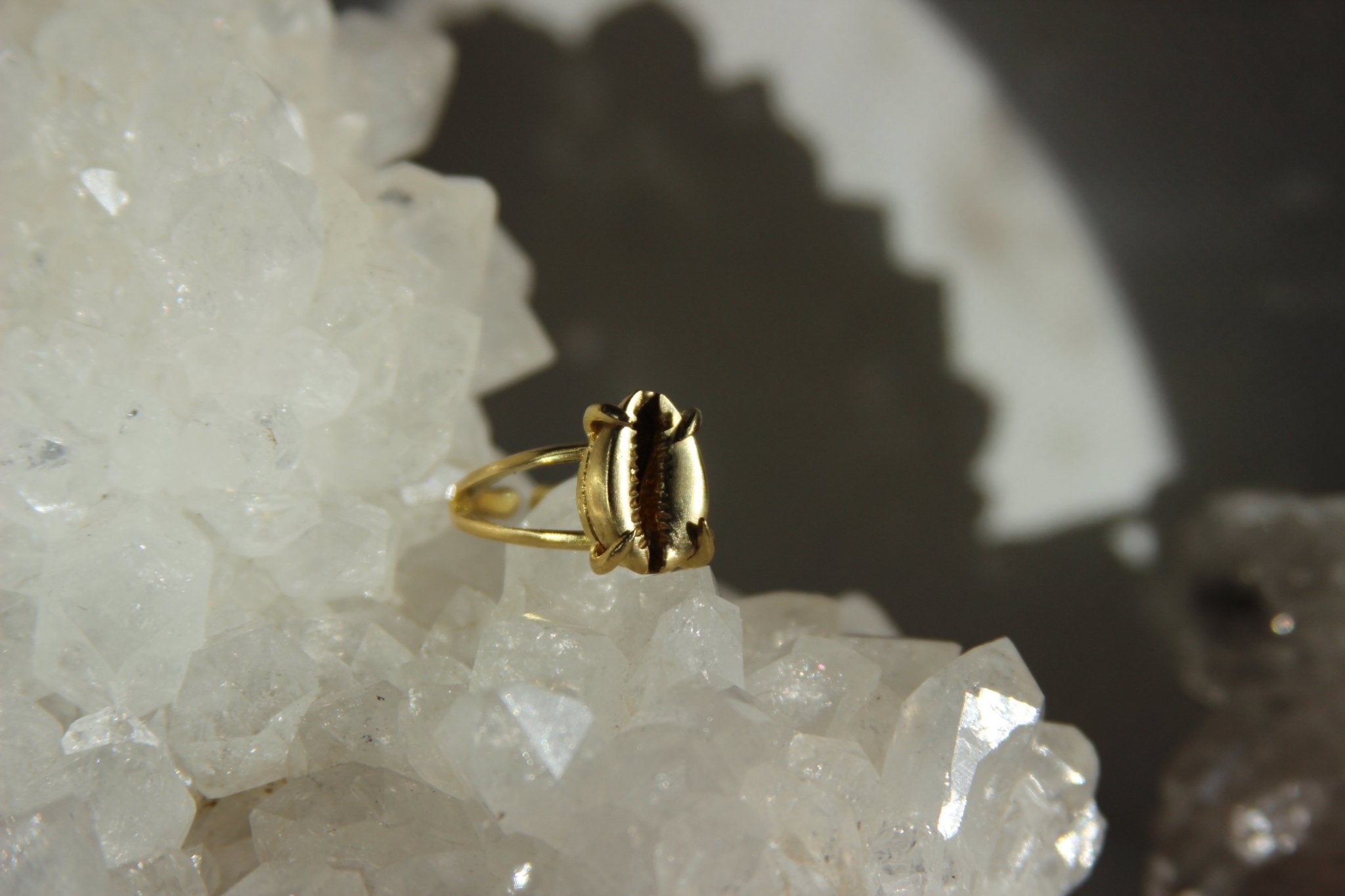 Golden Cowrie Brass Ring - We Love Brass