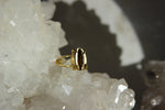 Cargar imagen en el visor de la galería, Golden Cowrie Brass Ring - We Love Brass
