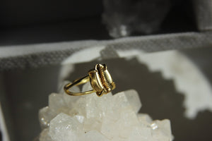 Golden Cowrie Brass Ring - We Love Brass