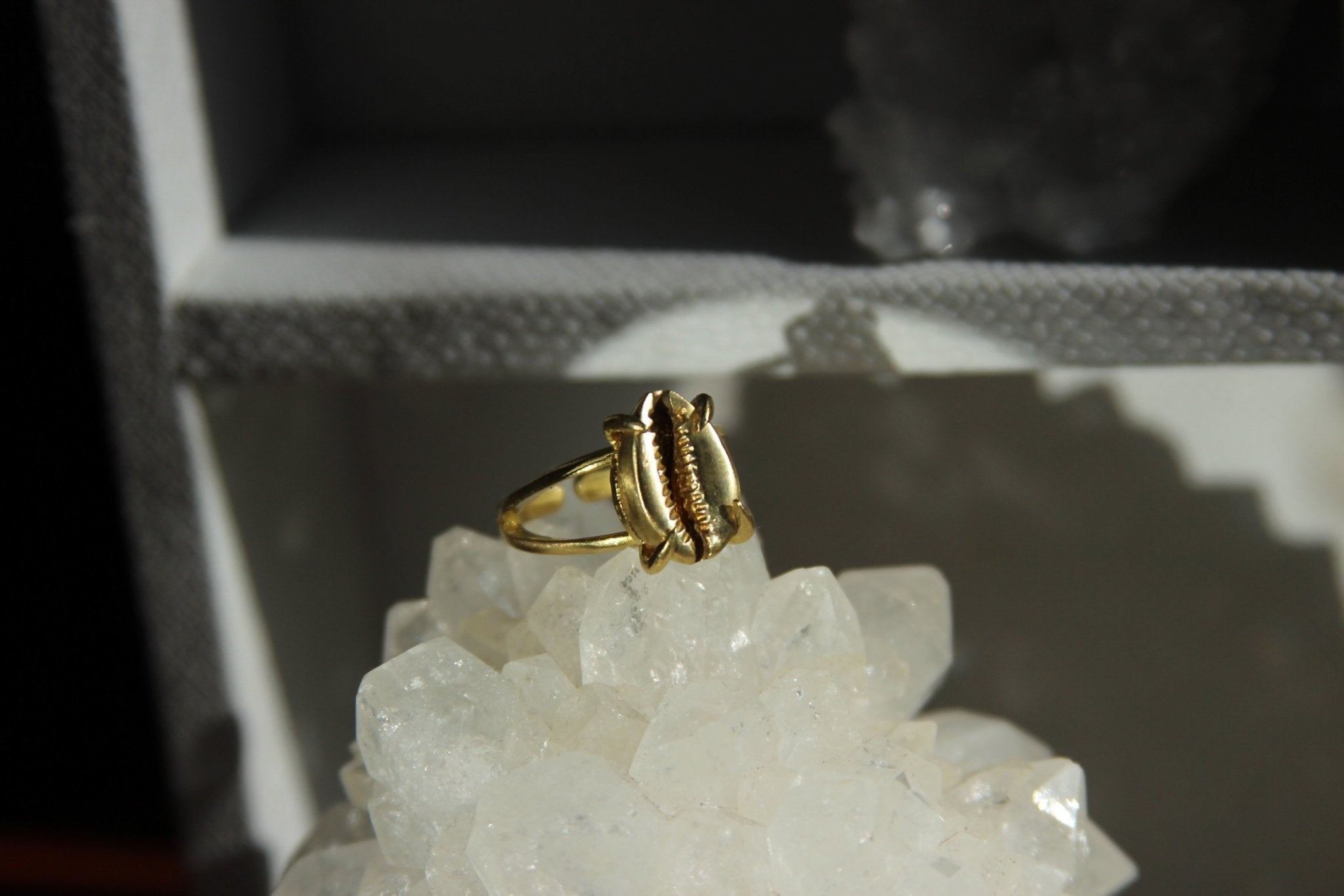 Golden Cowrie Brass Ring - We Love Brass