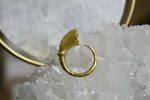 Load image into Gallery viewer, Gramophone Brass Ring - We Love Brass
