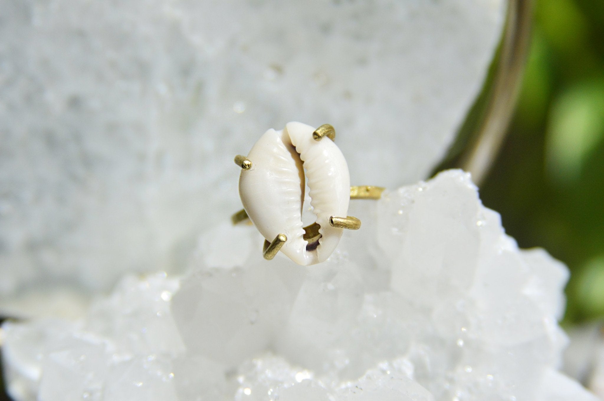 Hammered Brass Cowrie Shell Ring - We Love Brass