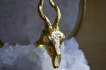 Load image into Gallery viewer, High Top - Brass Antler Ring - We Love Brass
