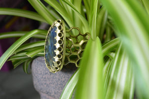 Honeycomb - Brass Labradorite Ring - We Love Brass