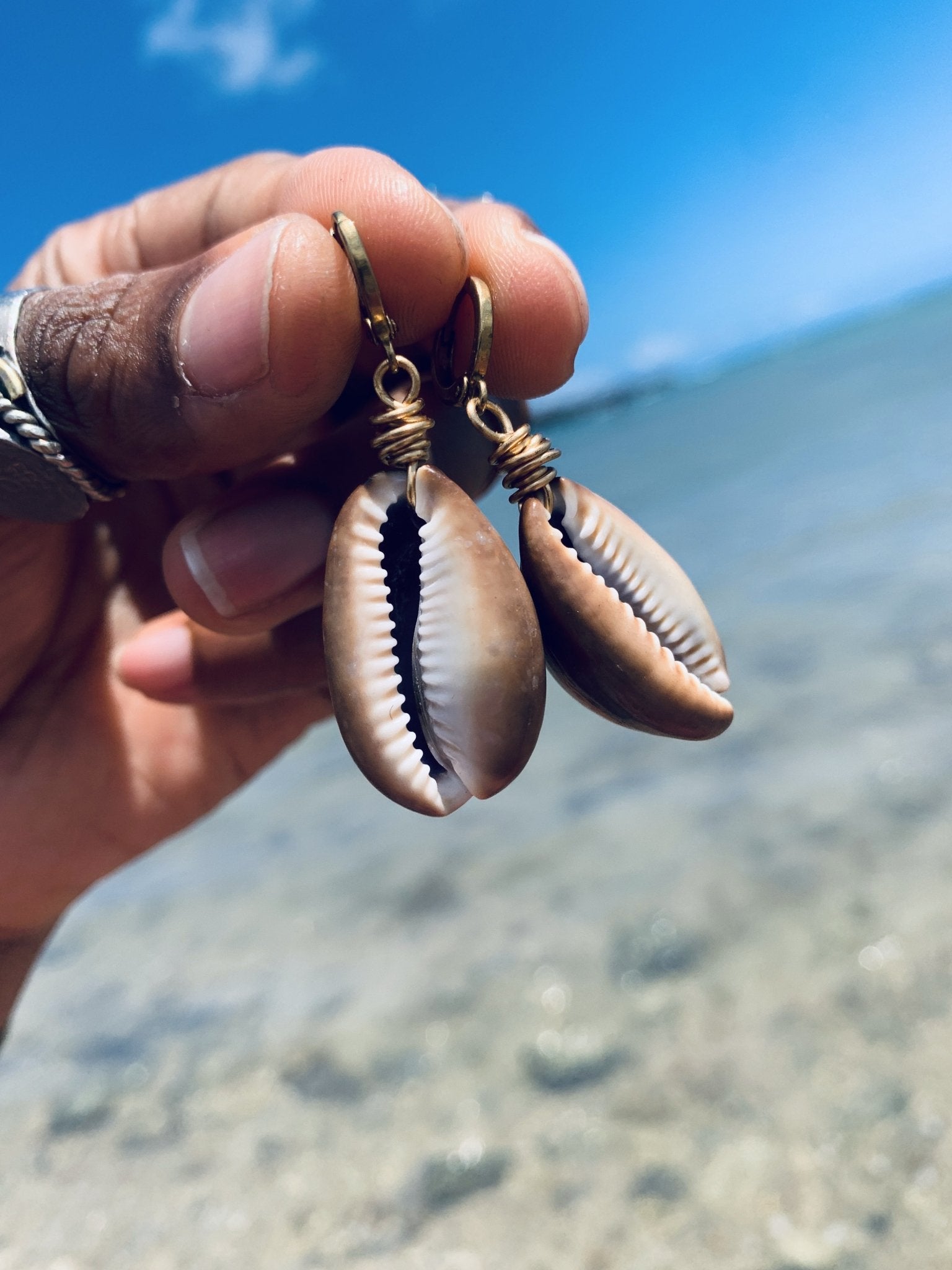 Large Cowrie Shell Earrings - We Love Brass